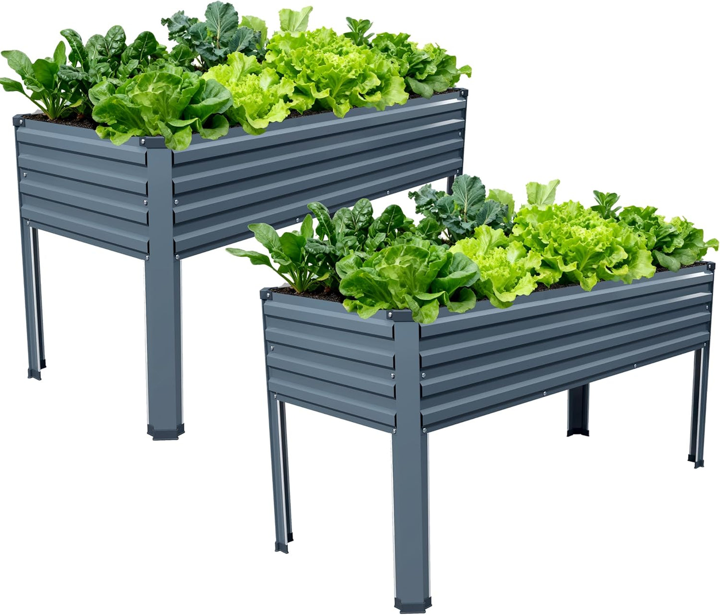 MGNO 2PCS Galvanized Raised Garden Bed Outdoor with Legs,48×18×32in Metal Elevated Raised Planter Box for Backyard, Patio, Balcony, 300lb Capacity,Silver…